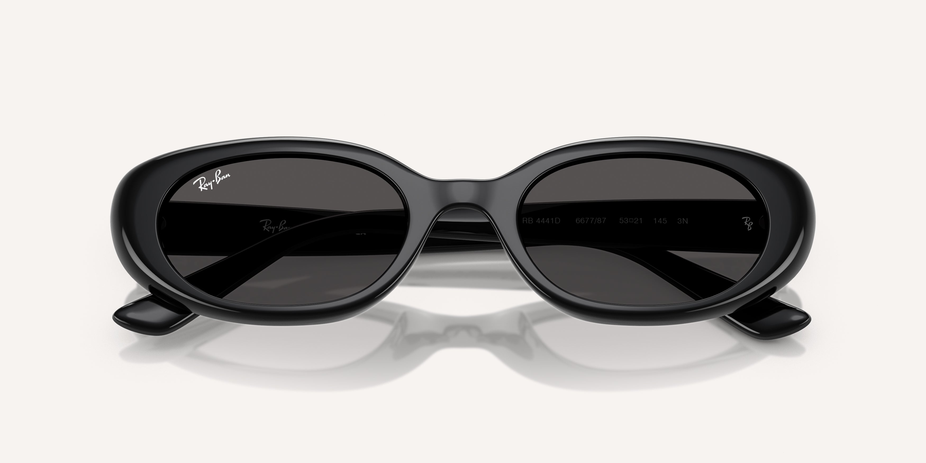 Ray-Ban | 0RB4441D