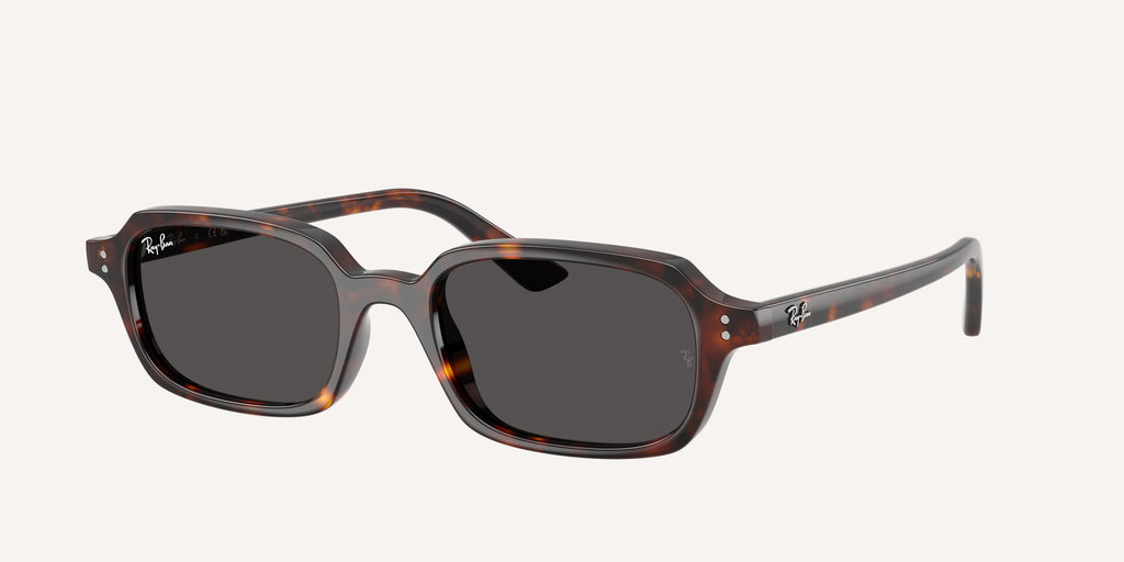 Ray-Ban | 0RB4455