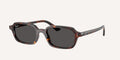 Ray-Ban | 0RB4455