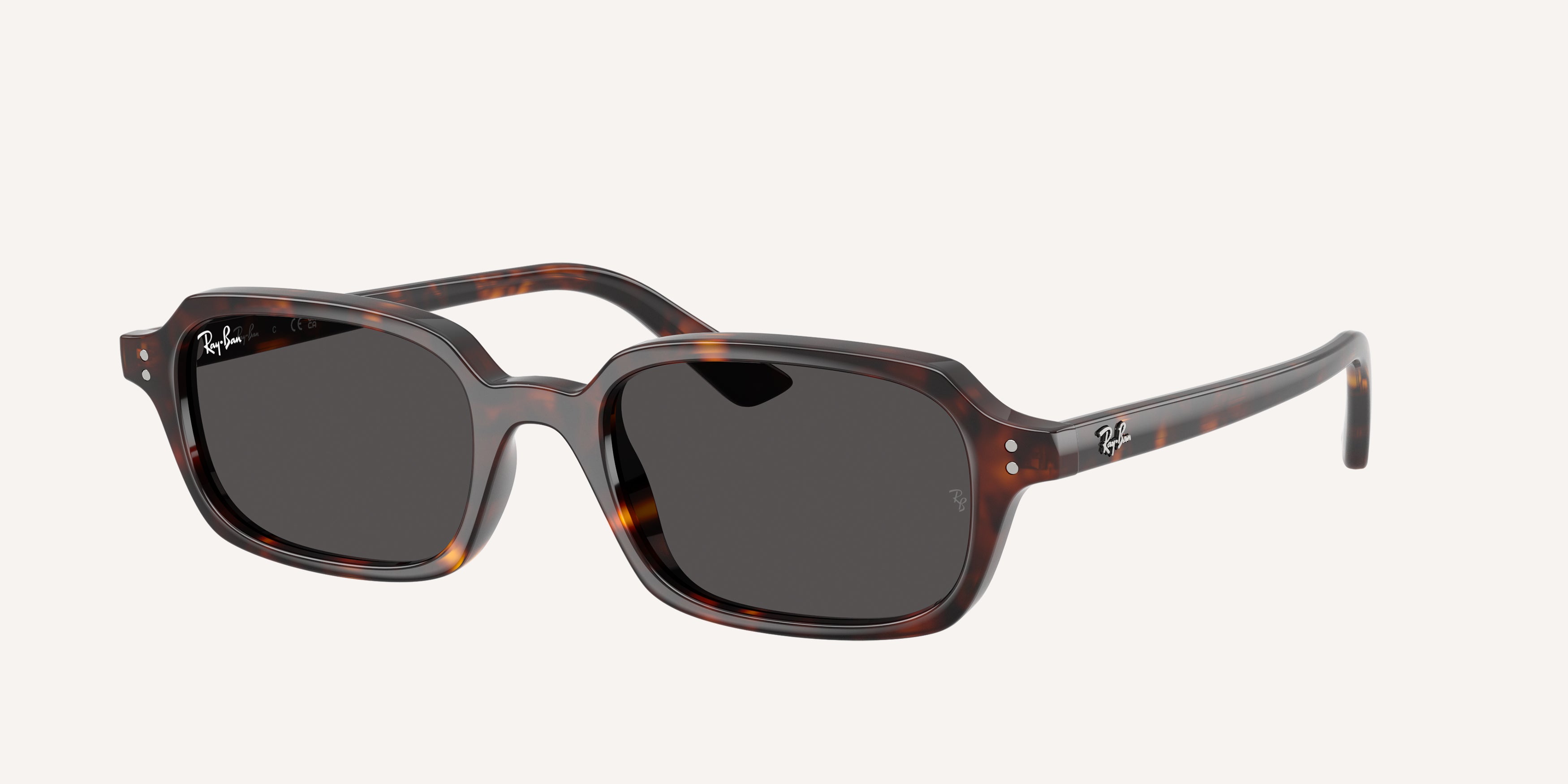 Ray-Ban | 0RB4455