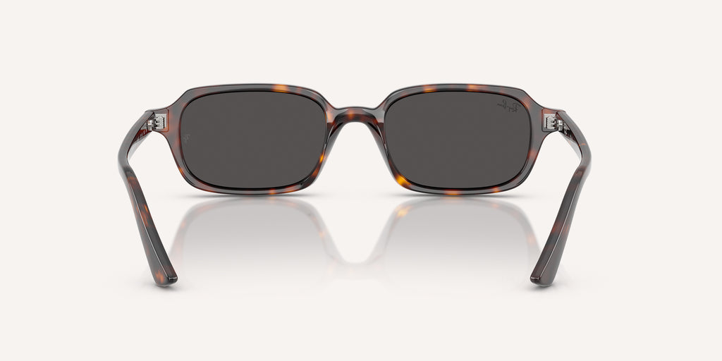 Ray-Ban | 0RB4455