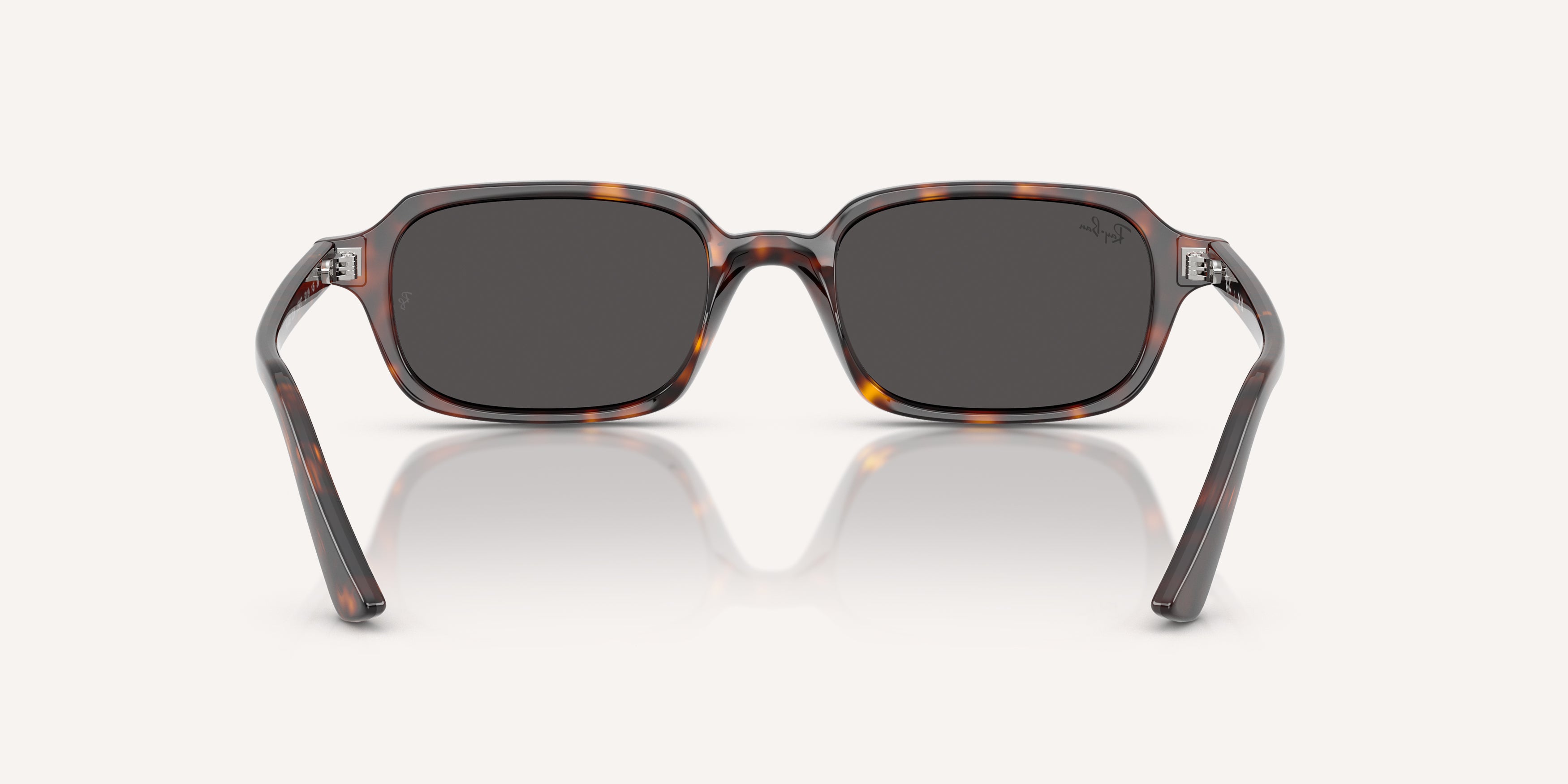 Ray-Ban | 0RB4455