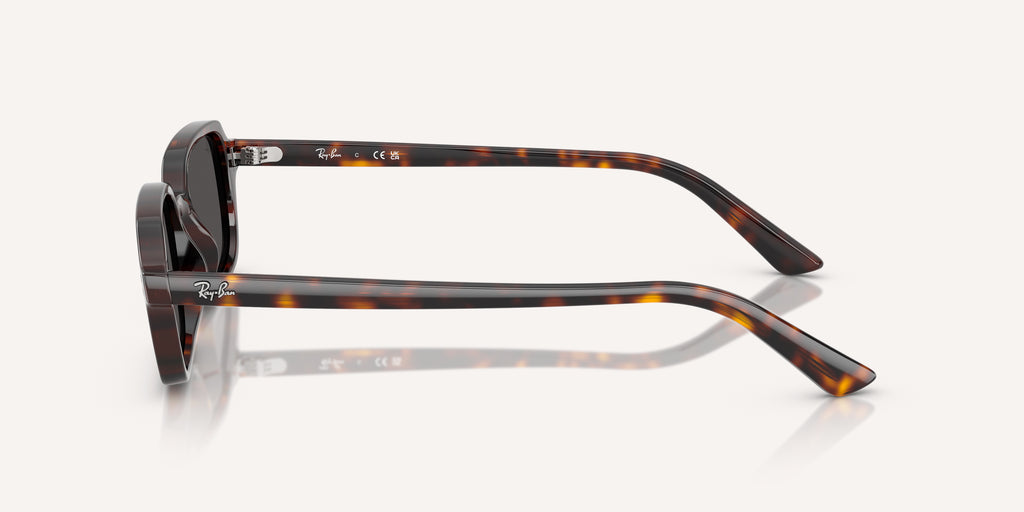 Ray-Ban | 0RB4455