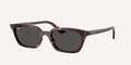 Ray-Ban | 0RB4456
