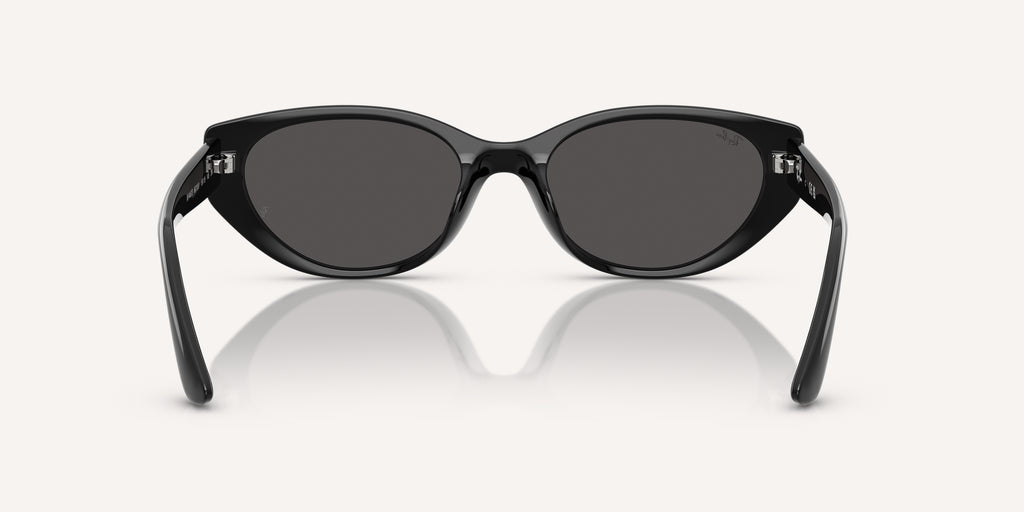 Ray-Ban | 0RB4457D