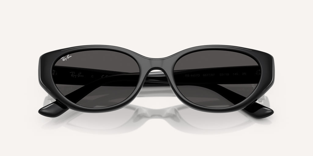 Ray-Ban | 0RB4457D
