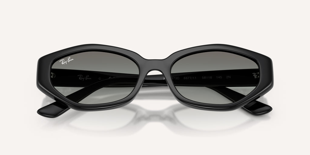 Ray-Ban | 0RB4473D