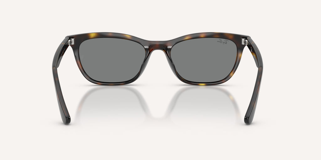 Ray-Ban | 0RB4474D