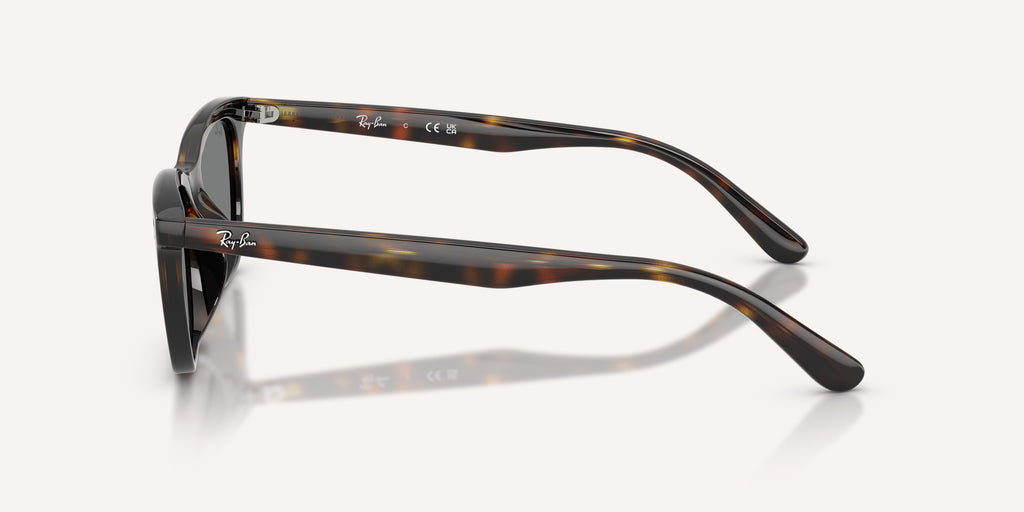 Ray-Ban | 0RB4474D