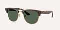 Ray-Ban | 0RBR0504S