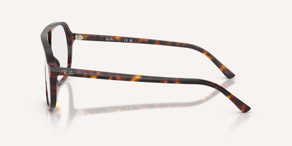 Ray-Ban | 0RX5698
