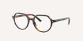 Ray-Ban Junior | 0RY9095V