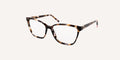 Contemporary Heroes Elegance | CH8630D-PP