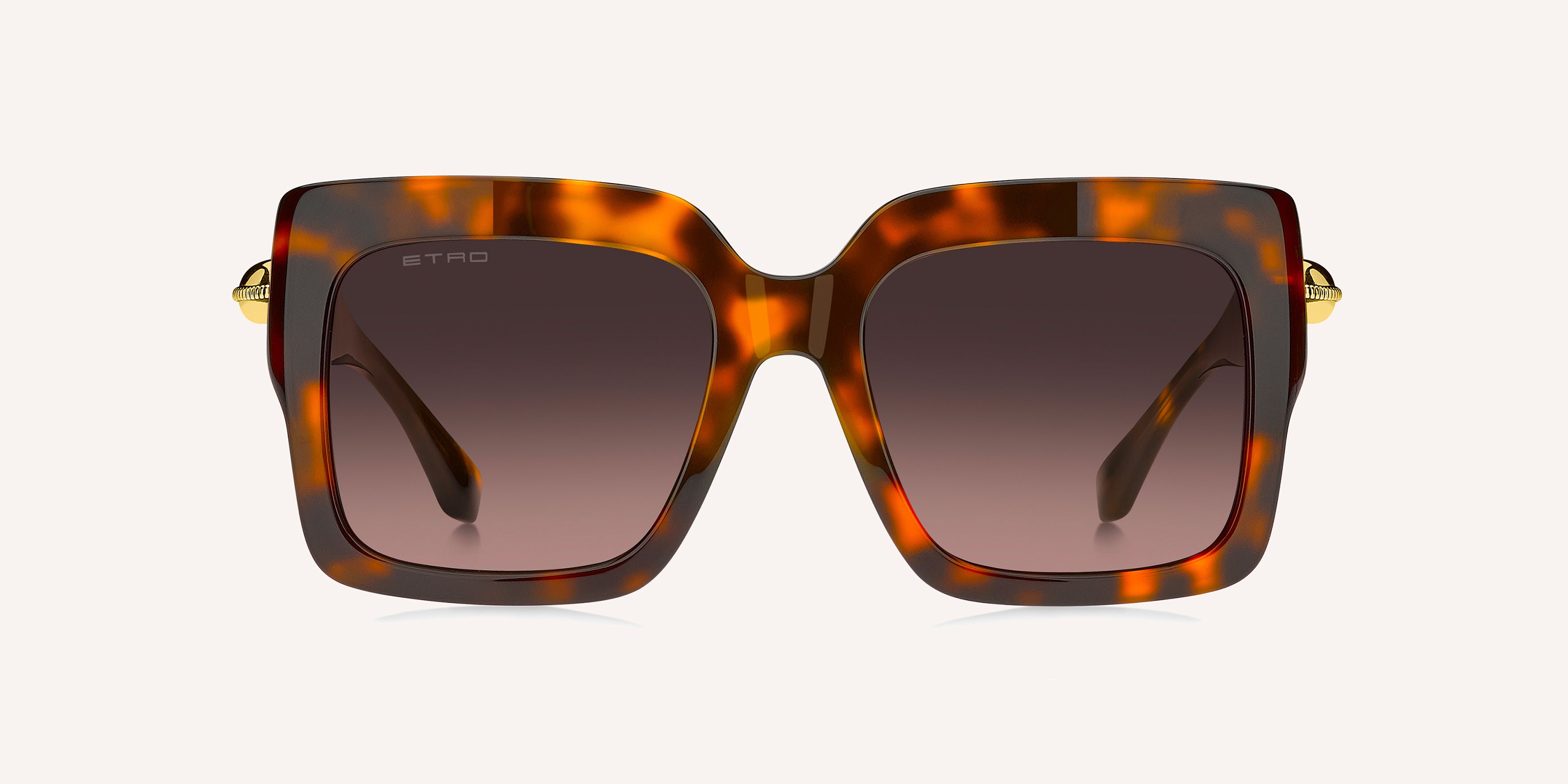 Etro | ETRO 0131/S