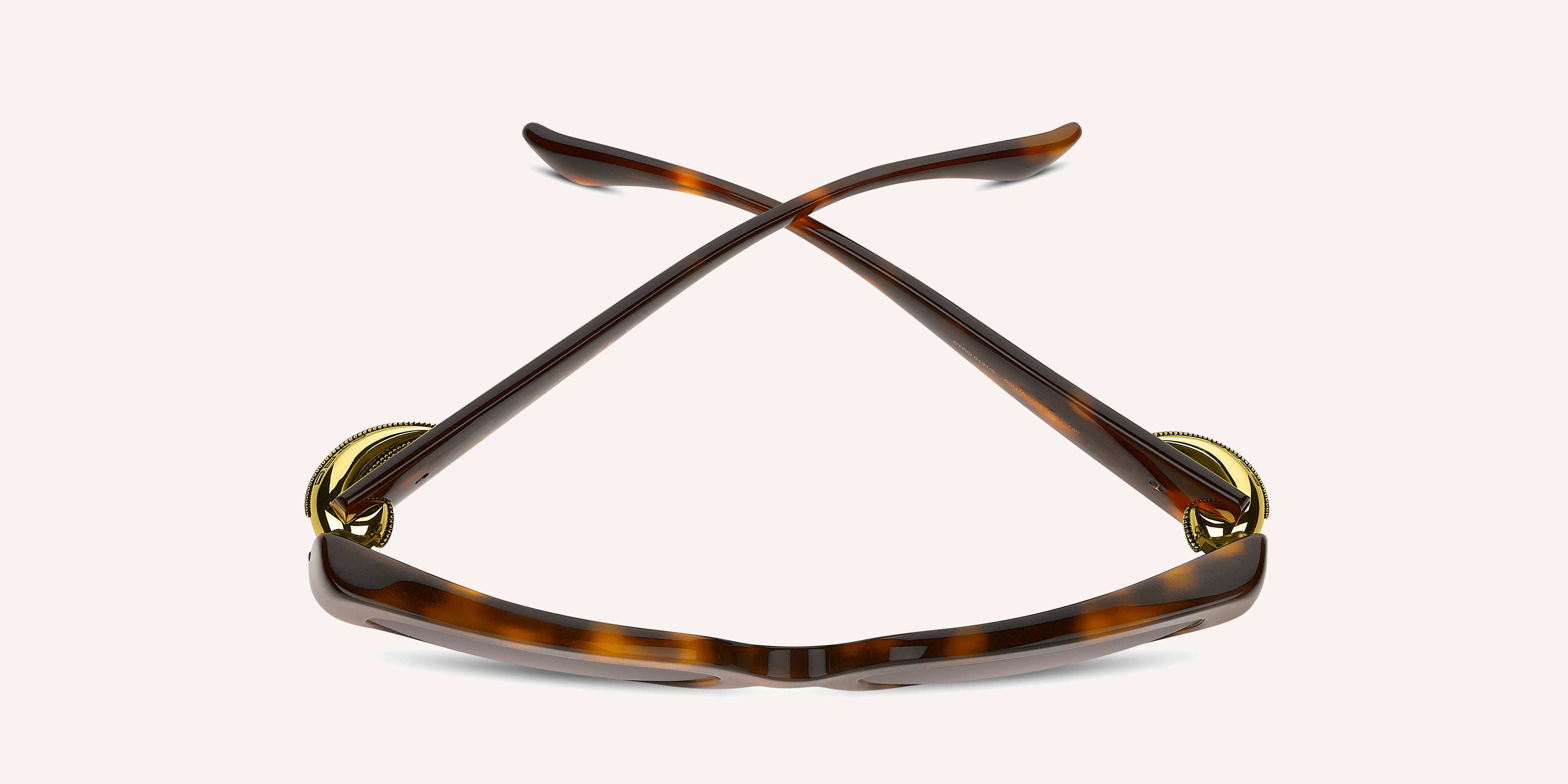 Etro | ETRO 0131/S