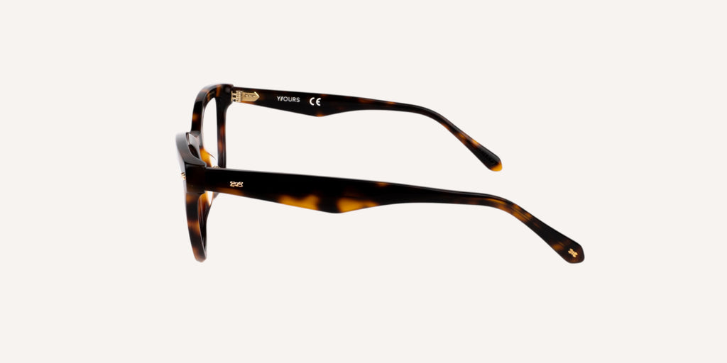Y//Ours | Y/OV3003D-PP